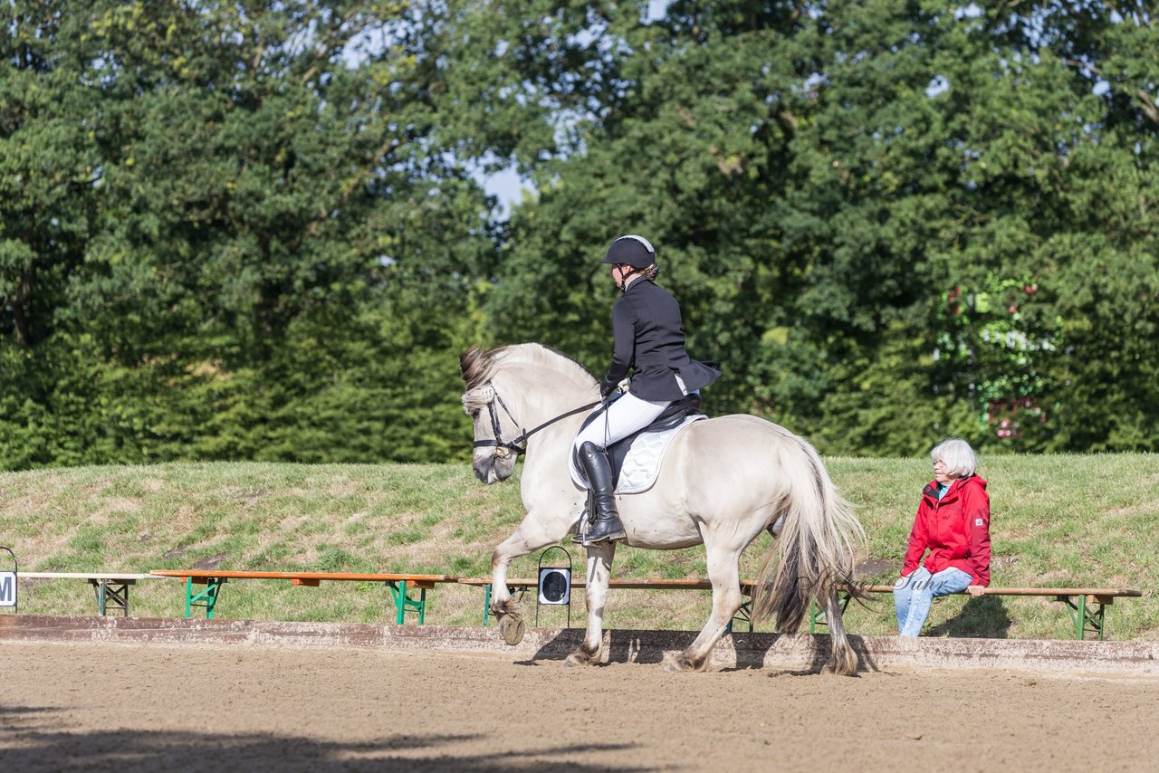 Bild 221 - Pony Akademie Turnier